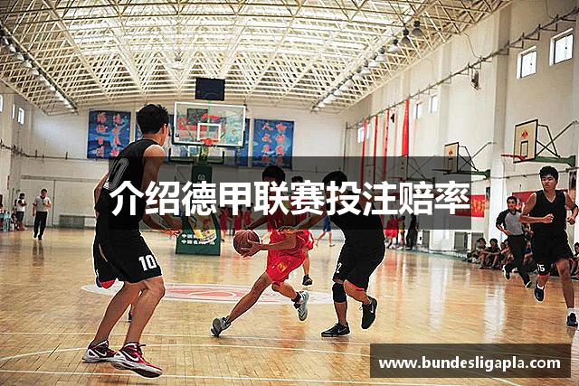 介绍德甲联赛投注赔率